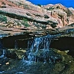 Salt Creek - Best Utah Backpacking Trip